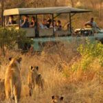 Kruger National Park