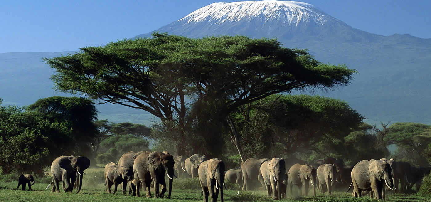 amboseli park