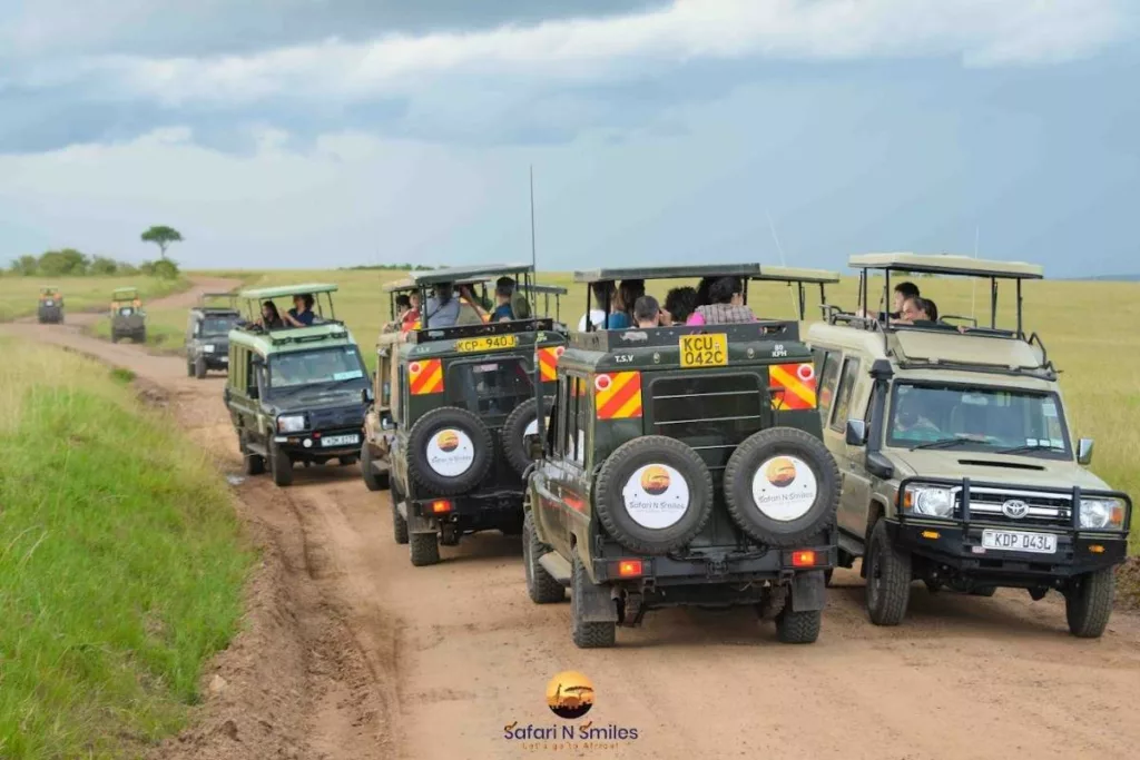 SAFARI LANDCRUISER